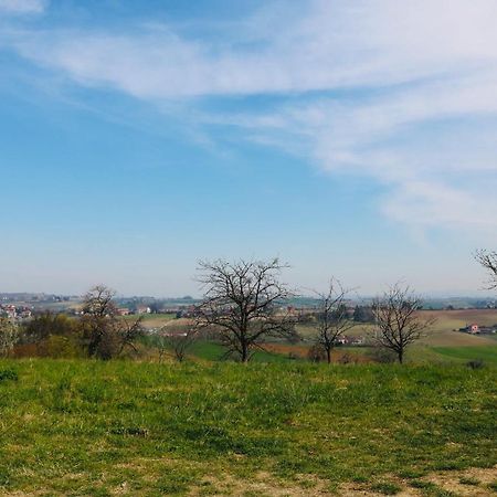 La Casa Dei Nonni Daire Pino Torinese Dış mekan fotoğraf